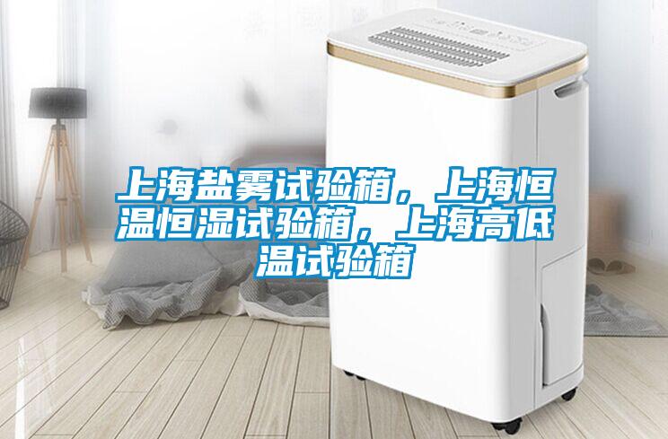 上海鹽霧試驗(yàn)箱，上海恒溫恒濕試驗(yàn)箱，上海高低溫試驗(yàn)箱