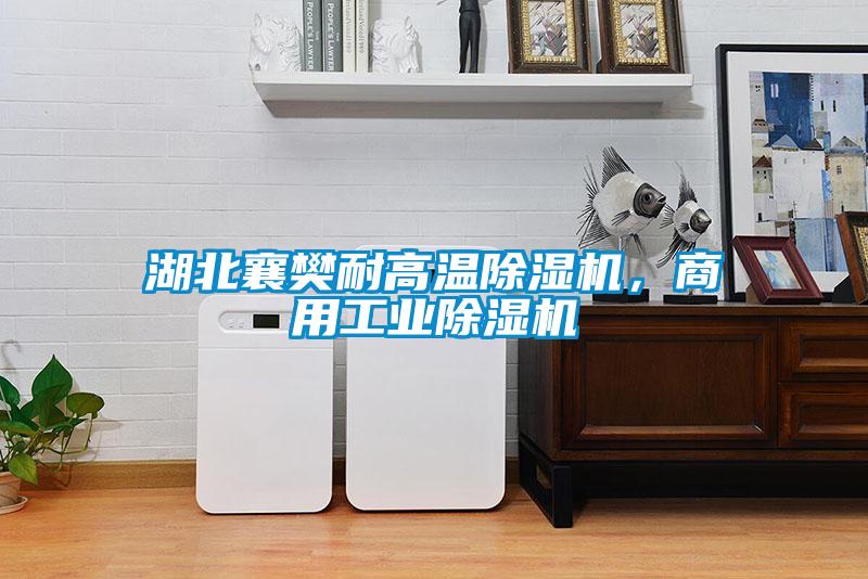 湖北襄樊耐高溫除濕機，商用工業(yè)除濕機