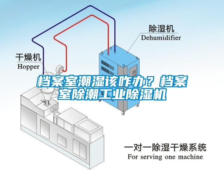 檔案室潮濕該咋辦？檔案室除潮工業(yè)除濕機