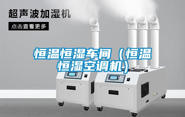 恒溫恒濕車(chē)間（恒溫恒濕空調(diào)機(jī)）
