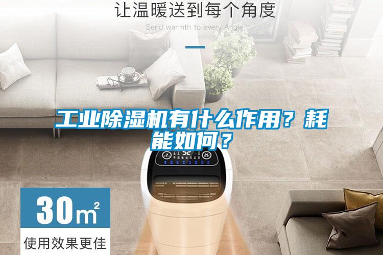 工業(yè)除濕機(jī)有什么作用？耗能如何？