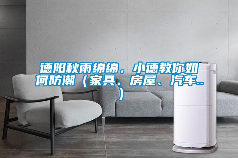 德陽秋雨綿綿，小德教你如何防潮（家具、房屋、汽車..）