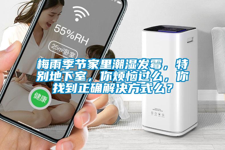梅雨季節(jié)家里潮濕發(fā)霉，特別地下室，你煩惱過么，你找到正確解決方式么？