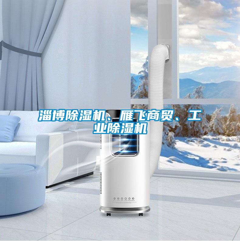 淄博除濕機、雁飛商貿(mào)、工業(yè)除濕機