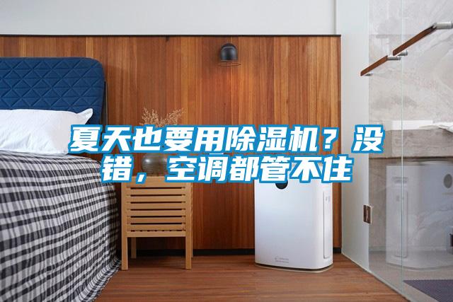 夏天也要用除濕機？沒錯，空調(diào)都管不住