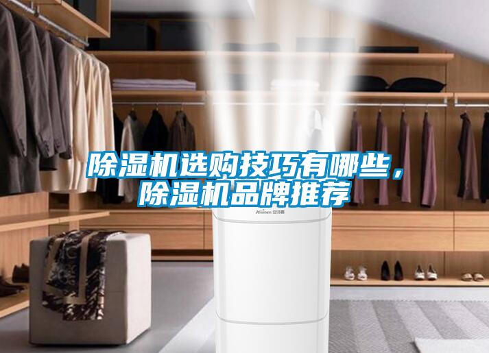 除濕機(jī)選購技巧有哪些，除濕機(jī)品牌推薦