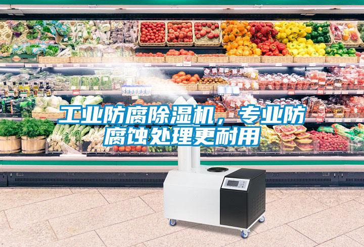 工業(yè)防腐除濕機，專業(yè)防腐蝕處理更耐用