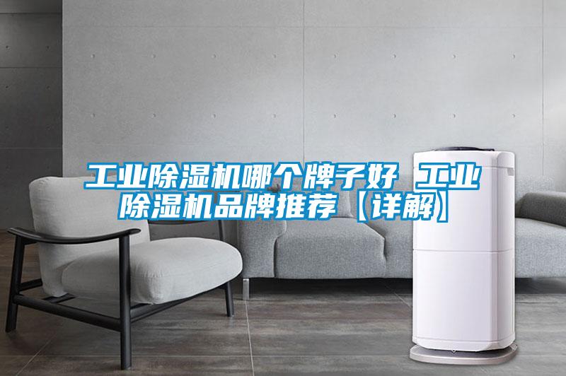 工業(yè)除濕機(jī)哪個牌子好 工業(yè)除濕機(jī)品牌推薦【詳解】