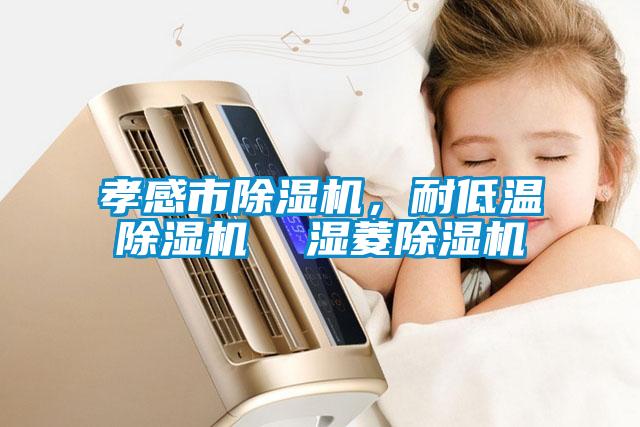 孝感市除濕機(jī)，耐低溫除濕機(jī)  濕菱除濕機(jī)