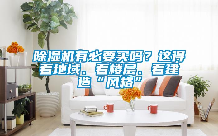 除濕機有必要買嗎？這得看地域、看樓層、看建造“風格”