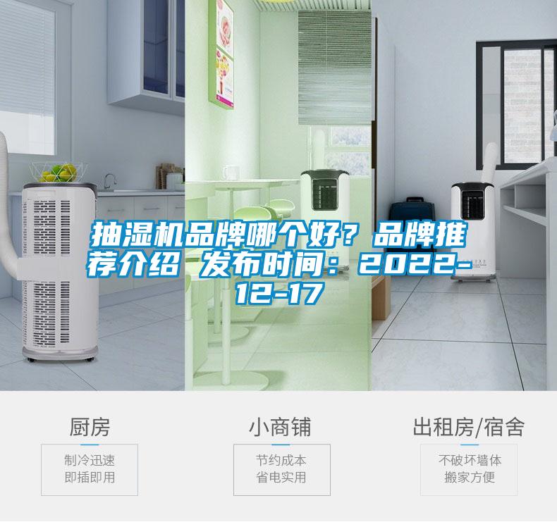 抽濕機(jī)品牌哪個(gè)好？品牌推薦介紹 發(fā)布時(shí)間：2022-12-17