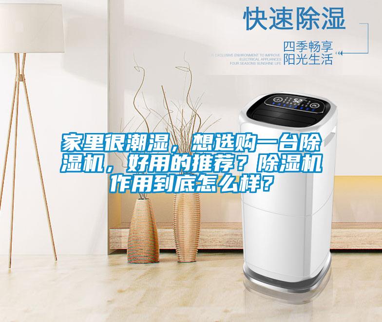 家里很潮濕，想選購一臺(tái)除濕機(jī)，好用的推薦？除濕機(jī)作用到底怎么樣？