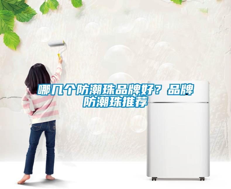 哪幾個防潮珠品牌好？品牌防潮珠推薦