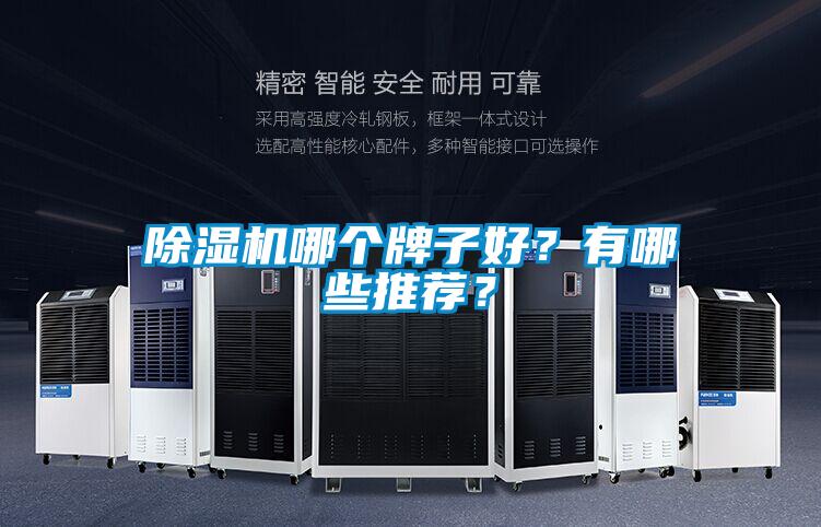 除濕機哪個牌子好？有哪些推薦？