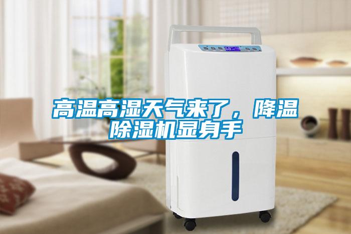高溫高濕天氣來了，降溫除濕機顯身手