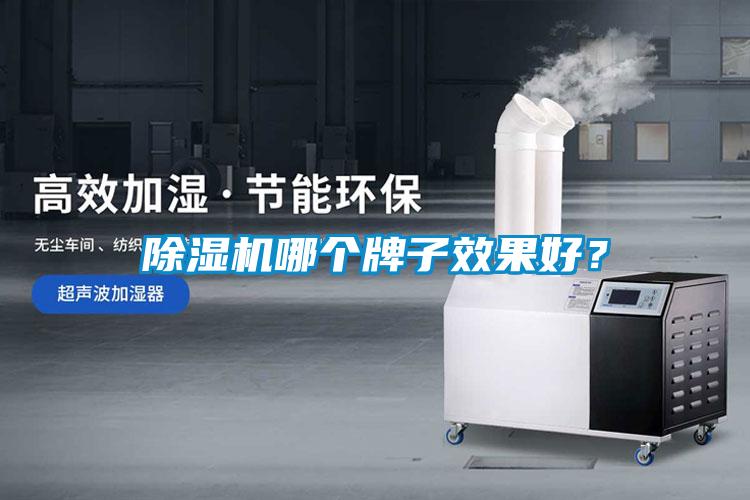 除濕機(jī)哪個(gè)牌子效果好？