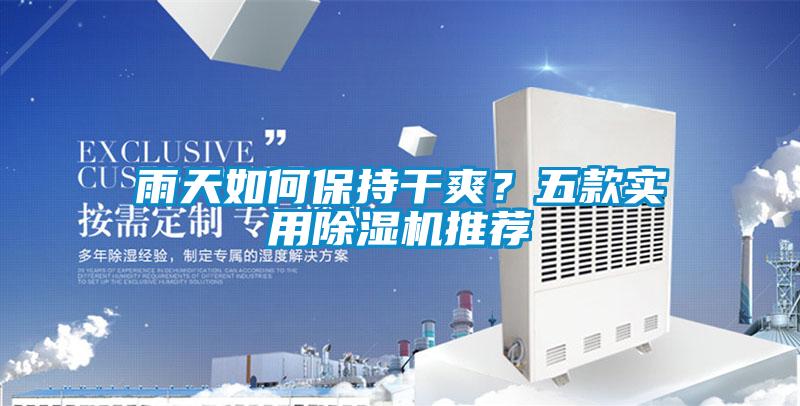 雨天如何保持干爽？五款實用除濕機推薦