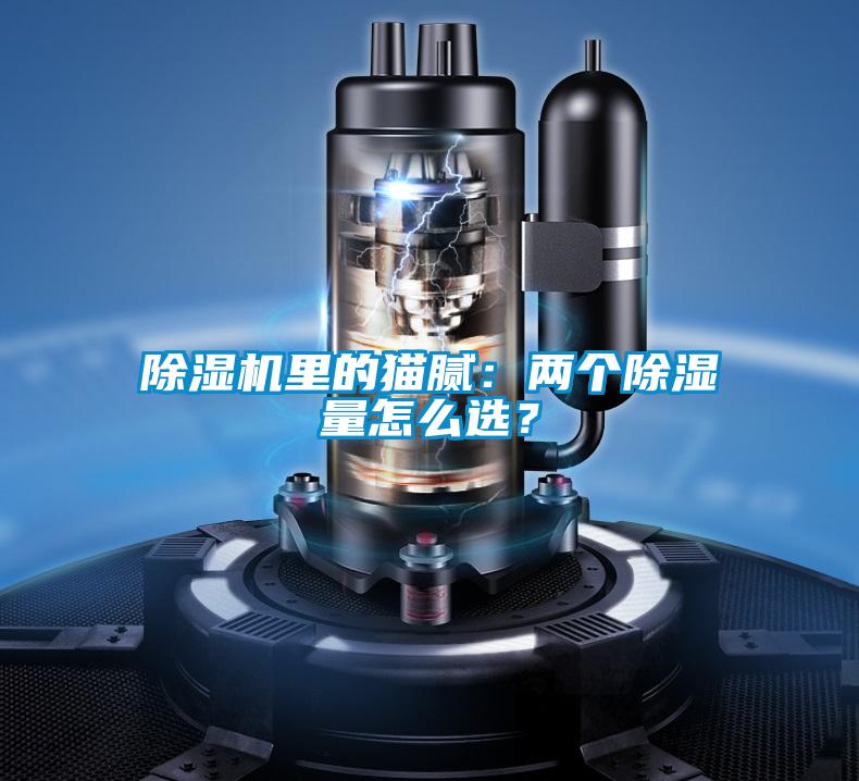 除濕機(jī)里的貓膩：兩個除濕量怎么選？