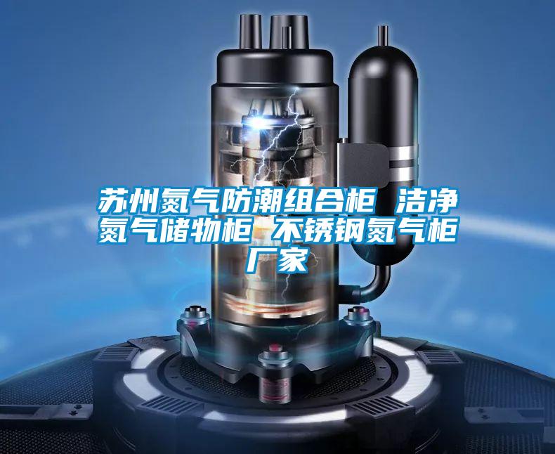 蘇州氮?dú)夥莱苯M合柜 潔凈氮?dú)鈨ξ锕?不銹鋼氮?dú)夤駨S家