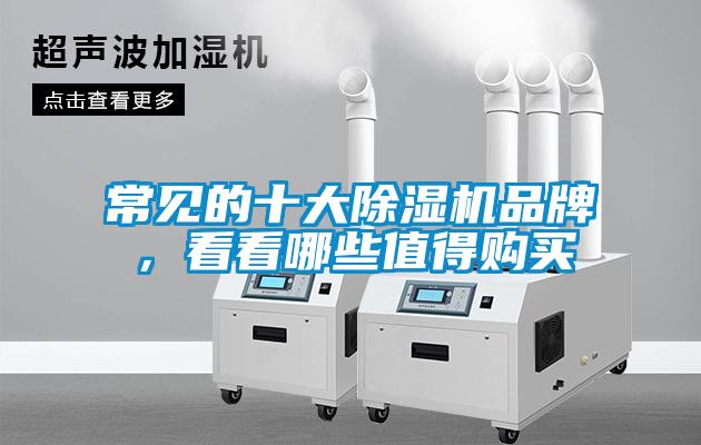 常見的十大除濕機品牌，看看哪些值得購買