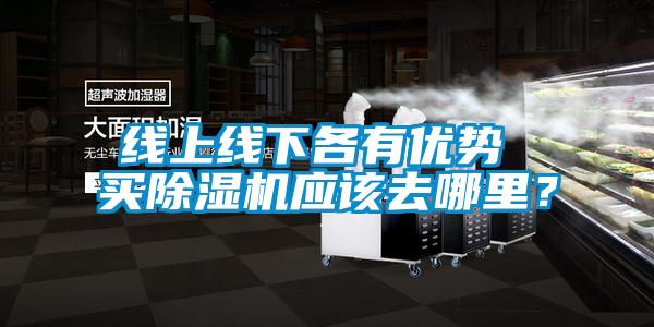 線上線下各有優(yōu)勢(shì) 買除濕機(jī)應(yīng)該去哪里？