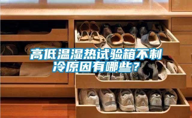 高低溫濕熱試驗(yàn)箱不制冷原因有哪些？