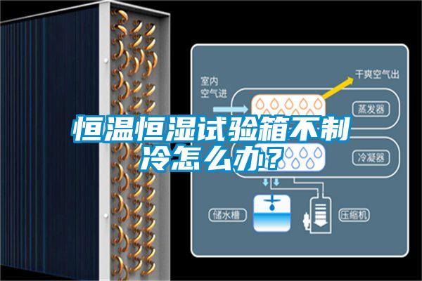 恒溫恒濕試驗(yàn)箱不制冷怎么辦？