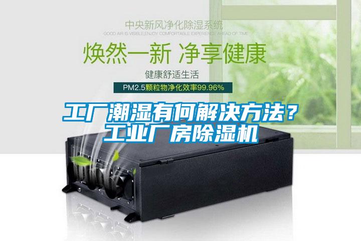 工廠潮濕有何解決方法？工業(yè)廠房除濕機(jī)