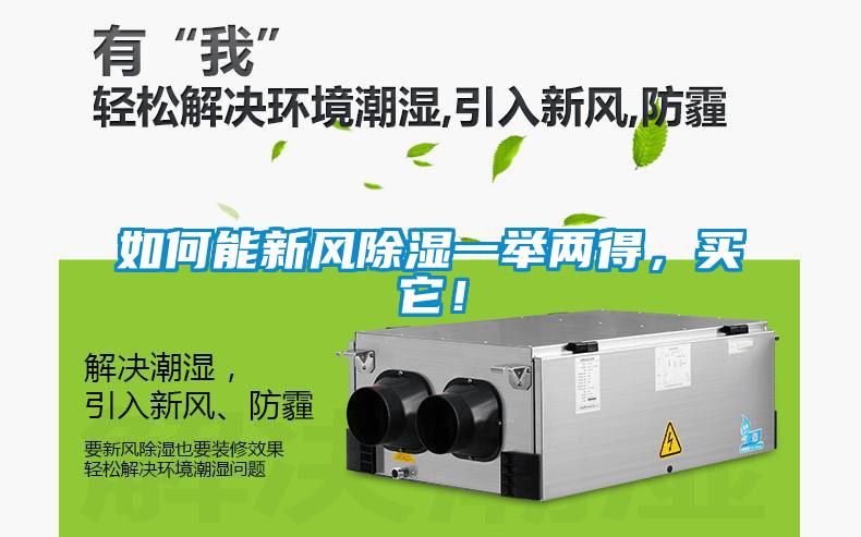 如何能新風(fēng)除濕一舉兩得，買它！