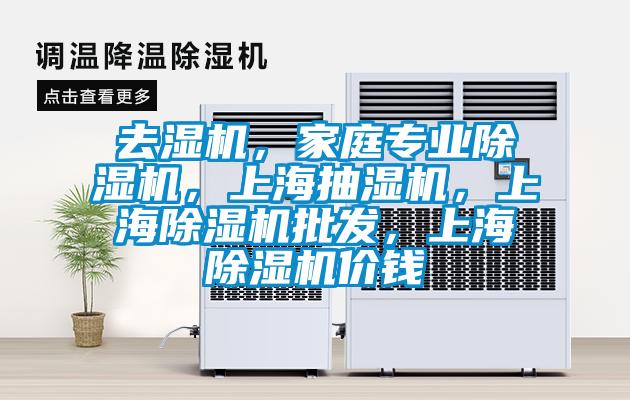 去濕機，家庭專業(yè)除濕機，上海抽濕機，上海除濕機批發(fā)，上海除濕機價錢