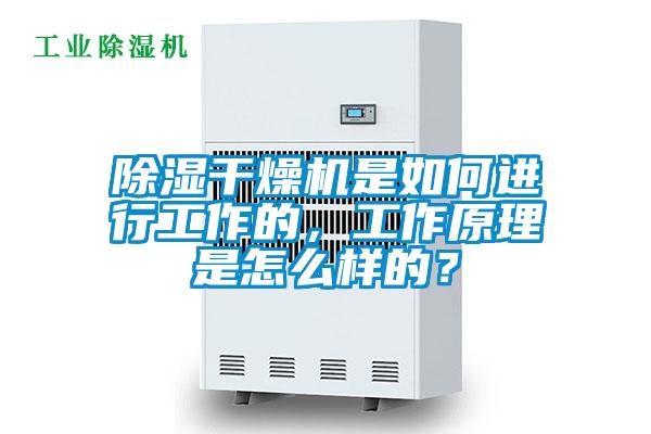 除濕干燥機(jī)是如何進(jìn)行工作的，工作原理是怎么樣的？