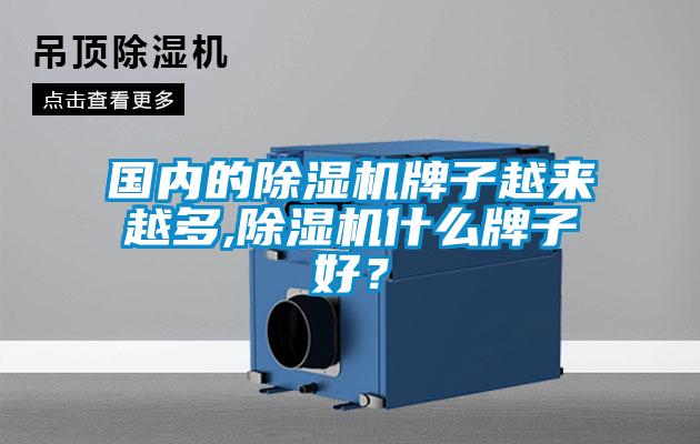 國(guó)內(nèi)的除濕機(jī)牌子越來(lái)越多,除濕機(jī)什么牌子好？