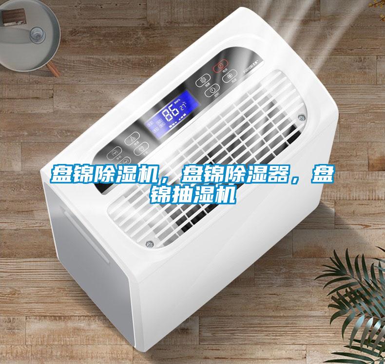 盤(pán)錦除濕機(jī)，盤(pán)錦除濕器，盤(pán)錦抽濕機(jī)