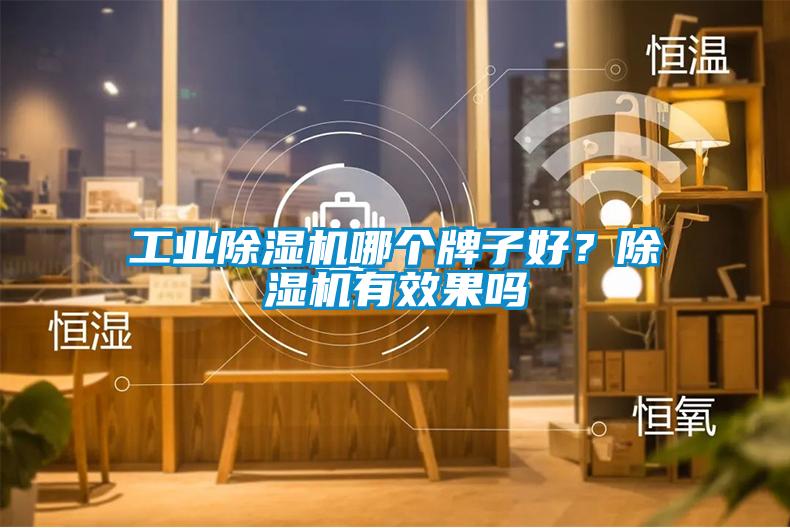 工業(yè)除濕機(jī)哪個(gè)牌子好？除濕機(jī)有效果嗎