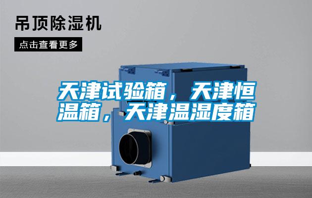 天津試驗箱，天津恒溫箱，天津溫濕度箱