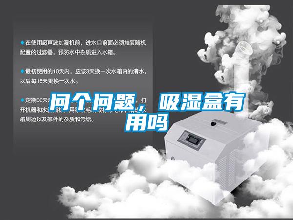 問個問題，吸濕盒有用嗎