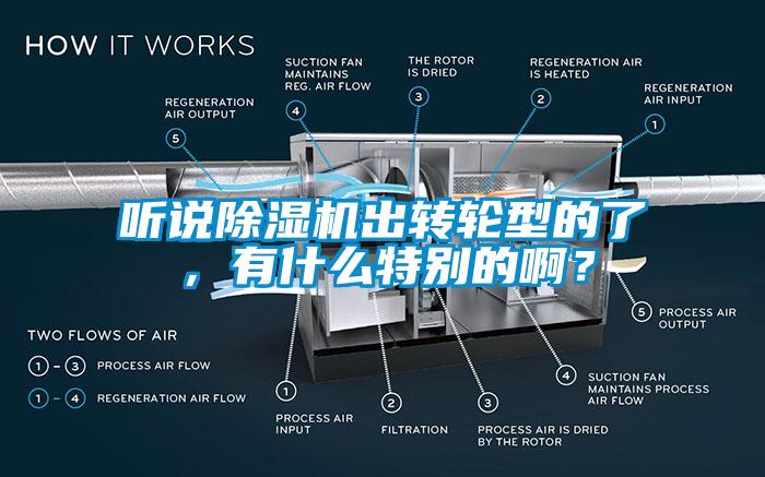 聽說除濕機出轉(zhuǎn)輪型的了，有什么特別的??？