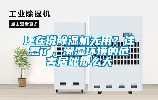 還在說除濕機(jī)無用？注意了，潮濕環(huán)境的危害居然那么大