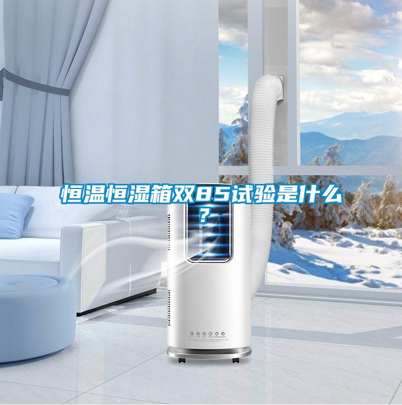恒溫恒濕箱雙85試驗(yàn)是什么？