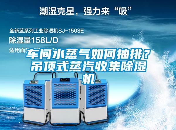 車間水蒸氣如何抽排？吊頂式蒸汽收集除濕機
