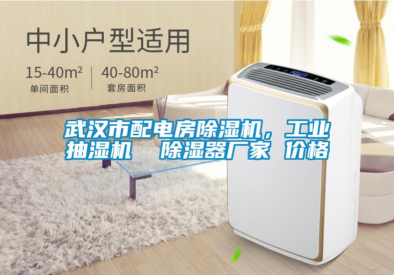 武漢市配電房除濕機(jī)，工業(yè)抽濕機(jī)  除濕器廠家 價(jià)格