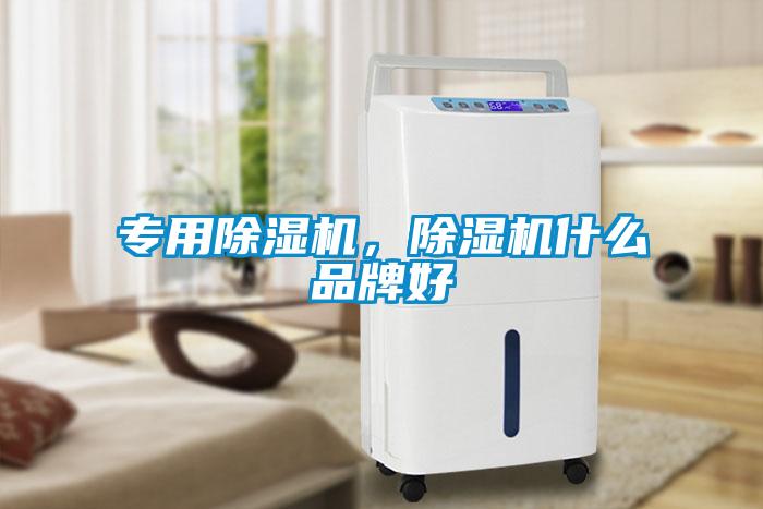 專用除濕機(jī)，除濕機(jī)什么品牌好