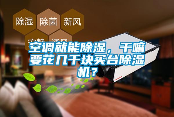 空調(diào)就能除濕，干嘛要花幾千塊買臺除濕機？