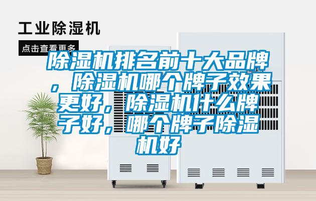 除濕機(jī)排名前十大品牌，除濕機(jī)哪個(gè)牌子效果更好，除濕機(jī)什么牌子好，哪個(gè)牌子除濕機(jī)好