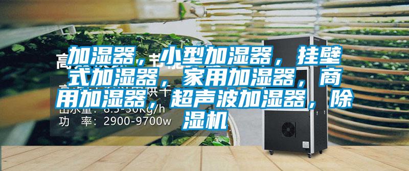 加濕器，小型加濕器，掛壁式加濕器，家用加濕器，商用加濕器，超聲波加濕器，除濕機(jī)