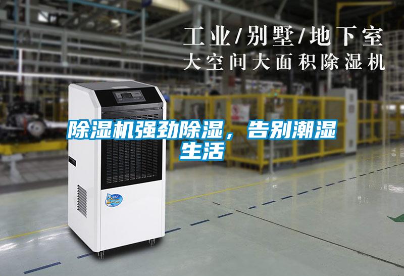 除濕機(jī)強(qiáng)勁除濕，告別潮濕生活