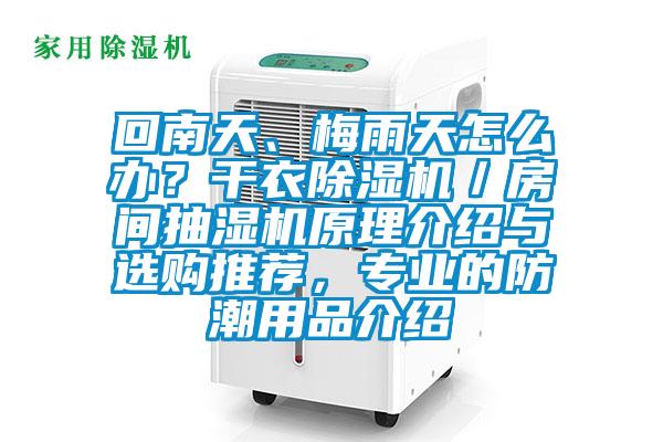 回南天、梅雨天怎么辦？干衣除濕機(jī)／房間抽濕機(jī)原理介紹與選購(gòu)?fù)扑]，專(zhuān)業(yè)的防潮用品介紹