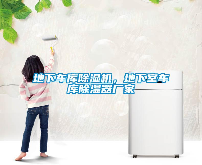 地下車庫(kù)除濕機(jī)，地下室車庫(kù)除濕器廠家