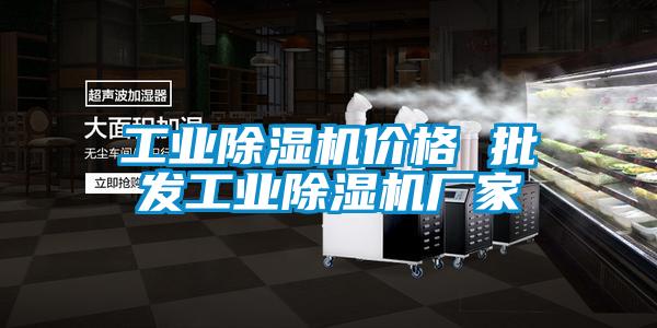 工業(yè)除濕機(jī)價(jià)格 批發(fā)工業(yè)除濕機(jī)廠(chǎng)家