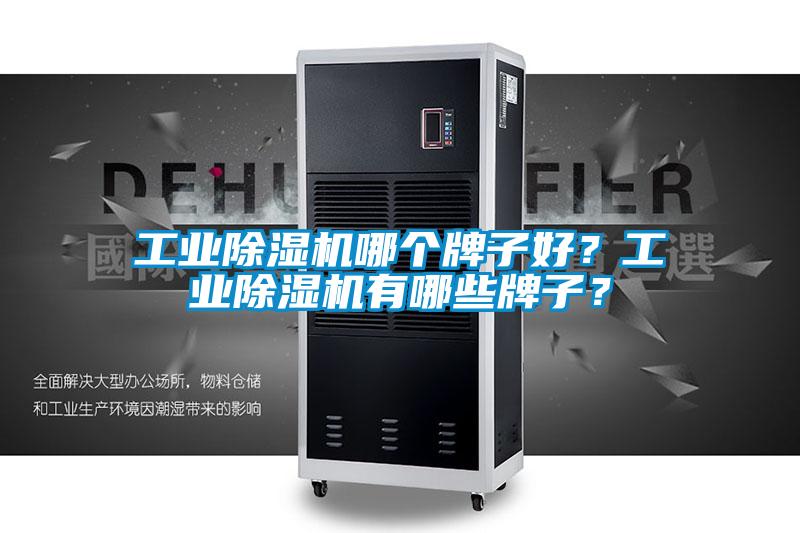 工業(yè)除濕機(jī)哪個(gè)牌子好？工業(yè)除濕機(jī)有哪些牌子？